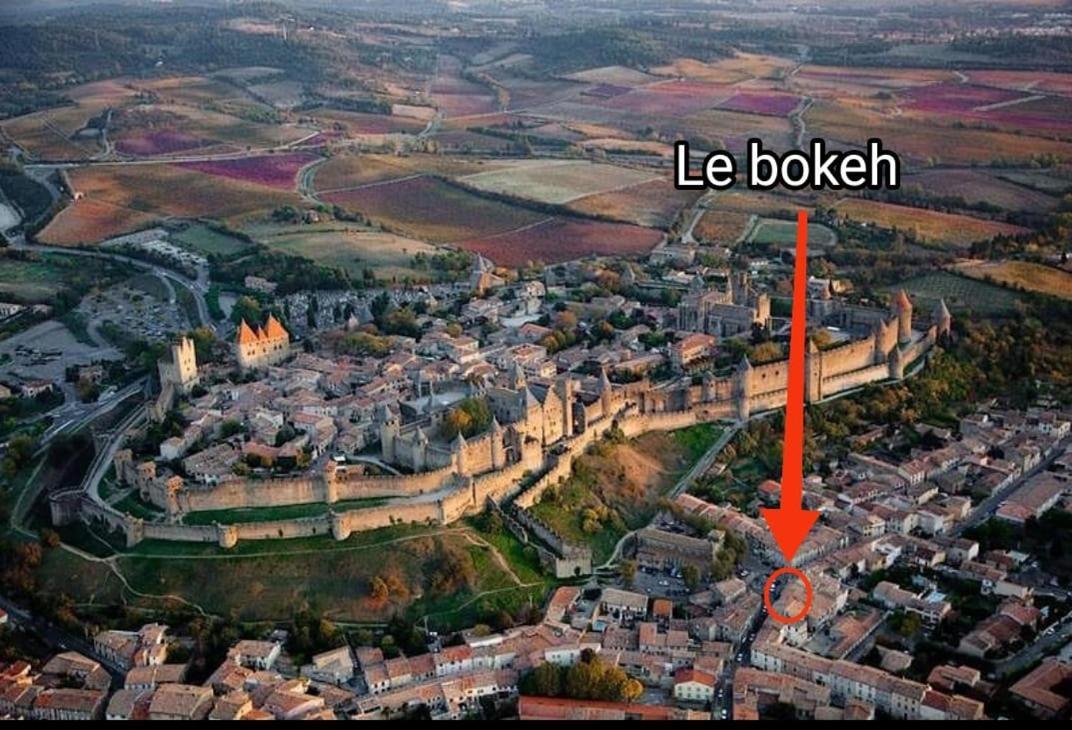 Le Bokeh - Face A La Cite Medievale Carcassonne Zewnętrze zdjęcie